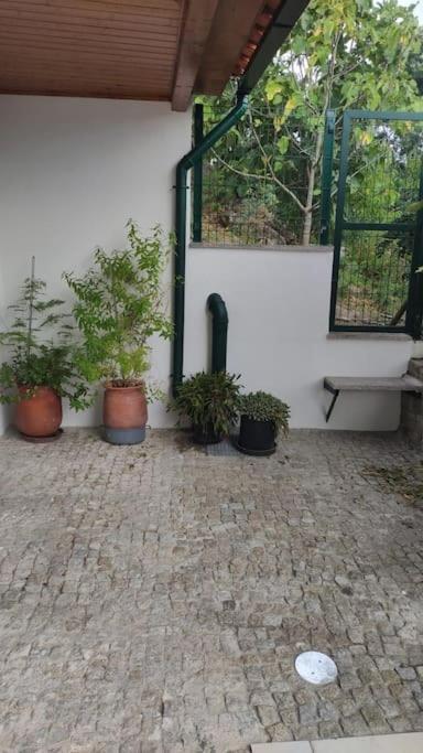 Casa Dionisio Villa Amarante Eksteriør billede